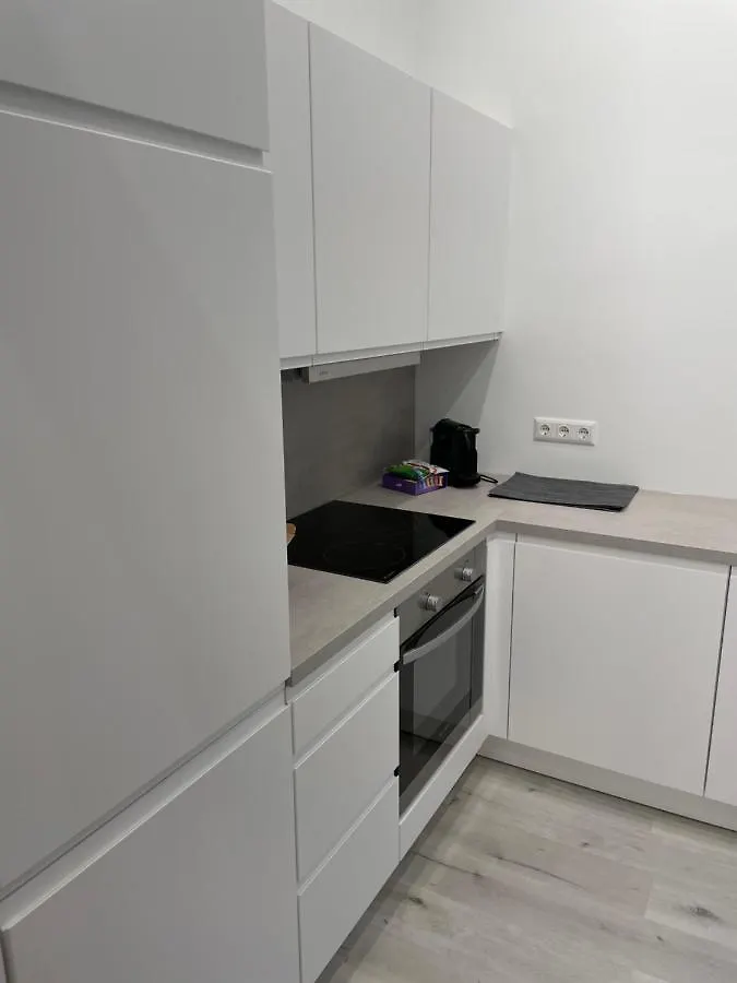 100M2 Apartment Naehe 1010 Wien